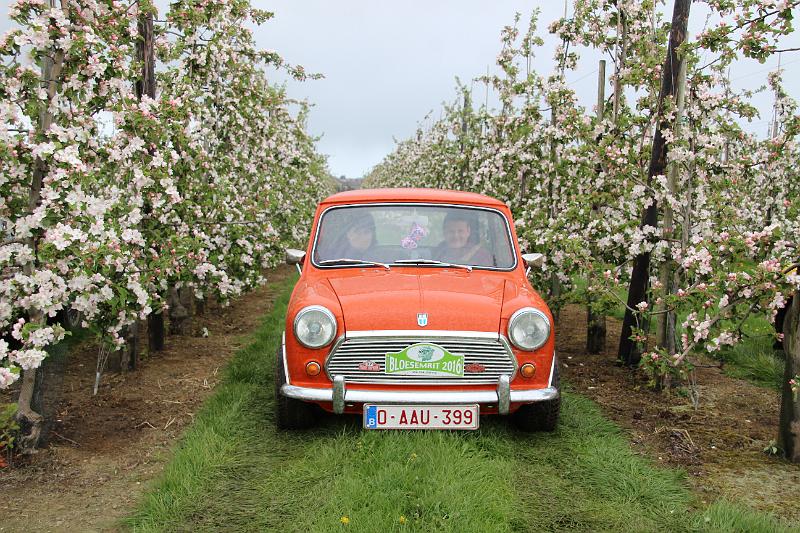 MG Bloesemrit op 24-4-2016 org. Jos&Marie-lou  (287).JPG